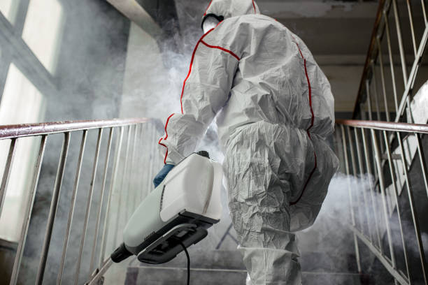 Why You Should Choose Our Mold Remediation Services in Galesville, WI